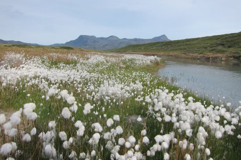Greenland_(14).jpg