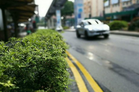 Malaysia_(8).jpg