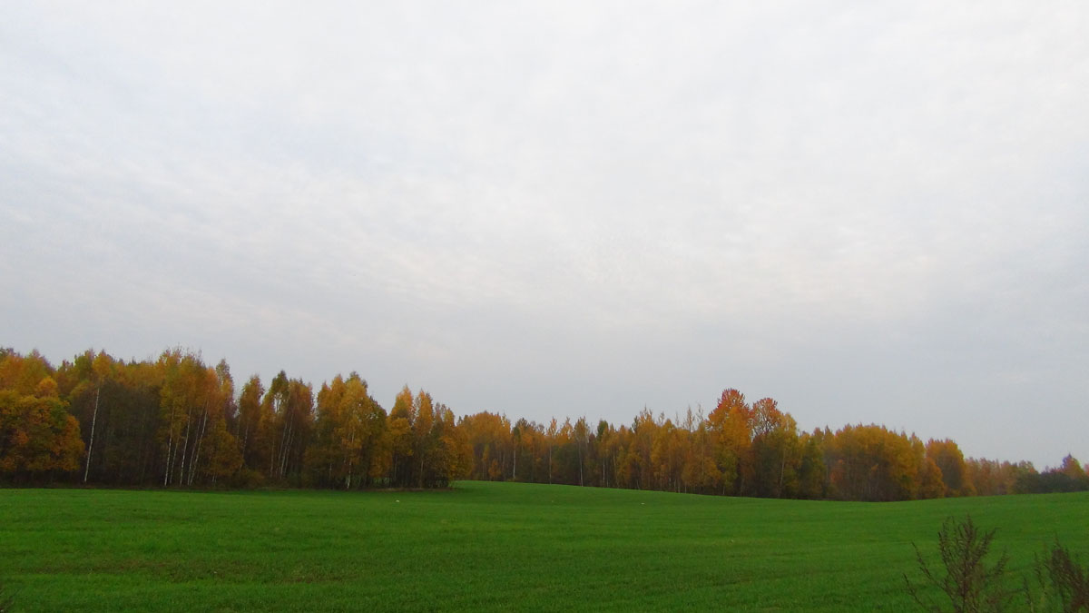 Belarus_(4).jpg