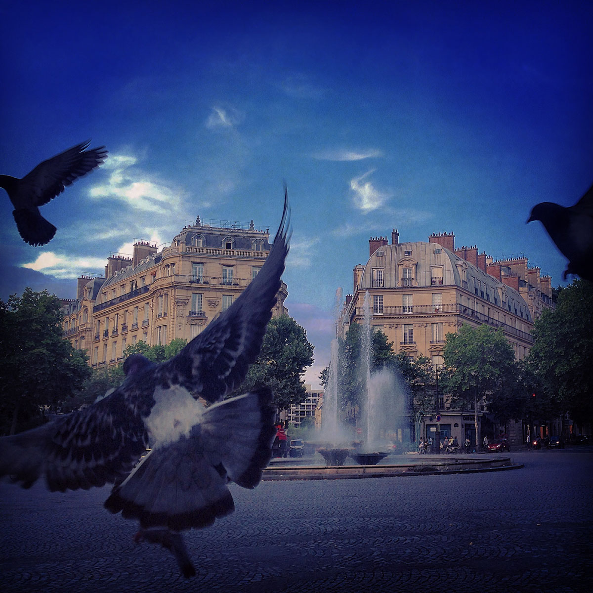 France_(17).jpg