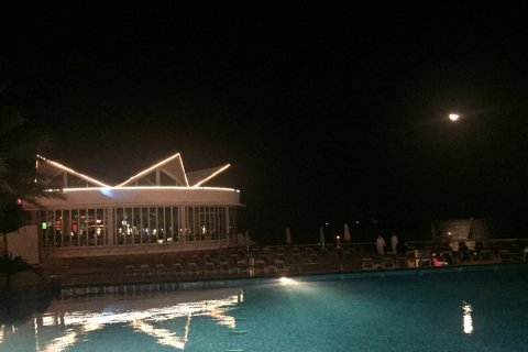 Qatar_(2).jpg