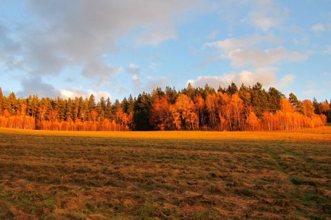 IMG_4768.JPG