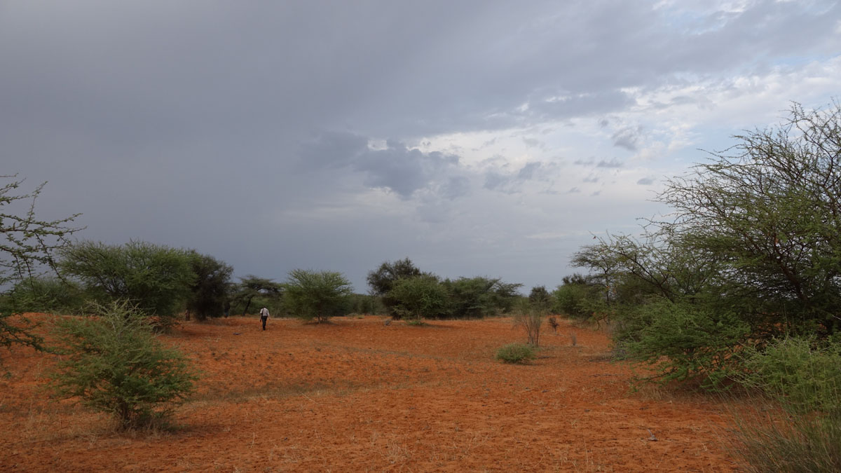 Mauritania_(13).jpg