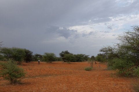 Mauritania_(13).jpg