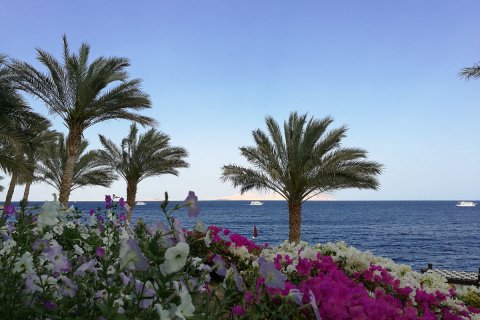 Egypt_(16).jpg