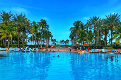 Bahamas_(56).jpg