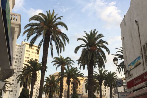 Morocco_(12).jpg