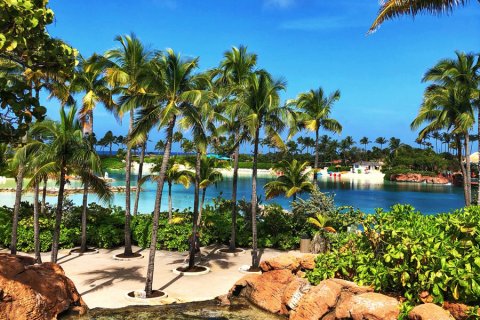 Bahamas_(72).jpg