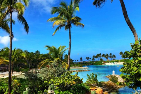 Bahamas_(75).jpg