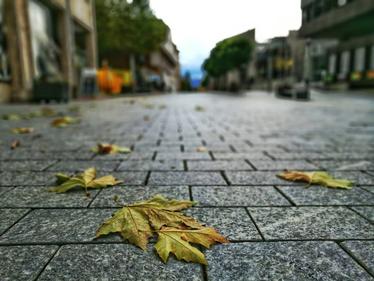 Liechtenstein_(1).jpg