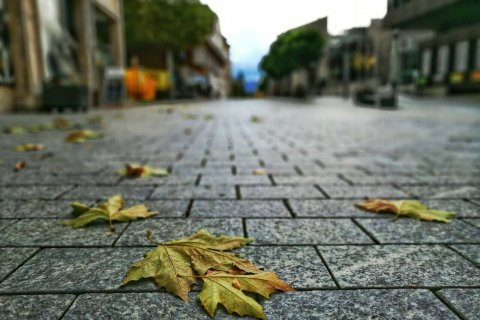 Liechtenstein_(1).jpg