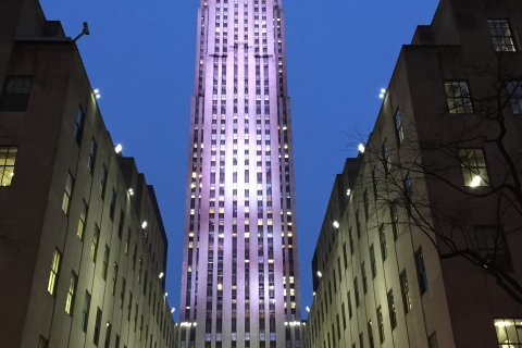 IMG_1010.JPG