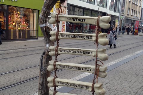 Slovakia_(4).JPG