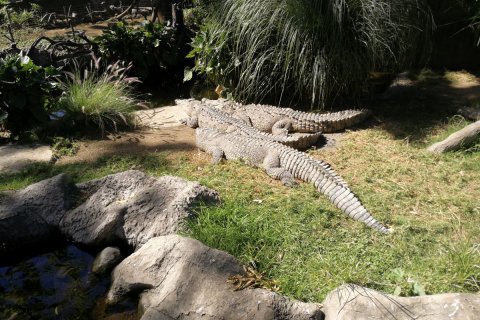 IMG_7934-12-01-19-21-41.jpg