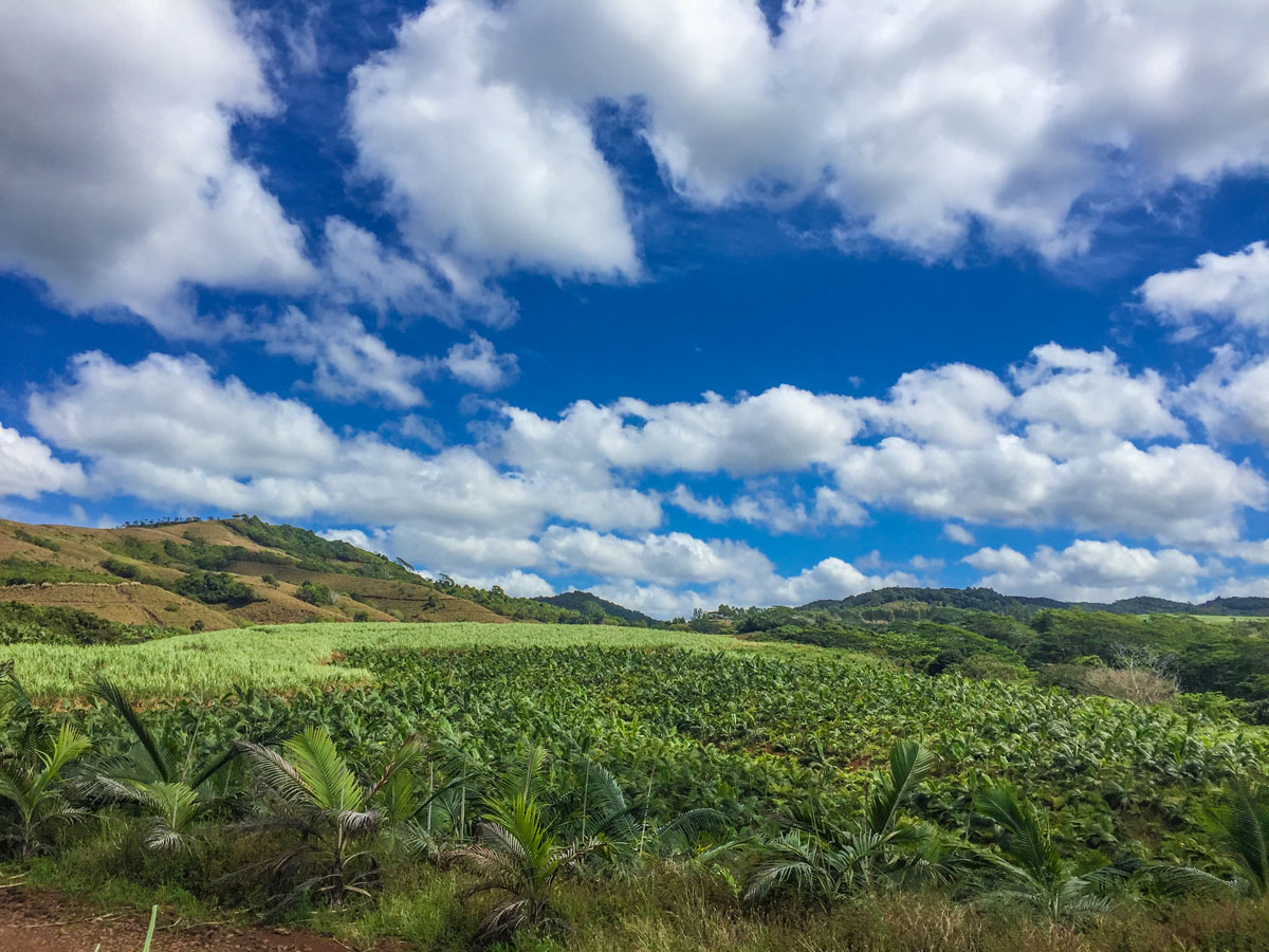 Mauritius_(15).jpg