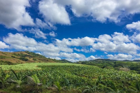 Mauritius_(15).jpg