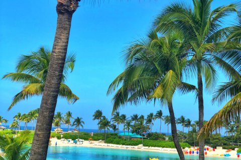 Bahamas_(73).jpg