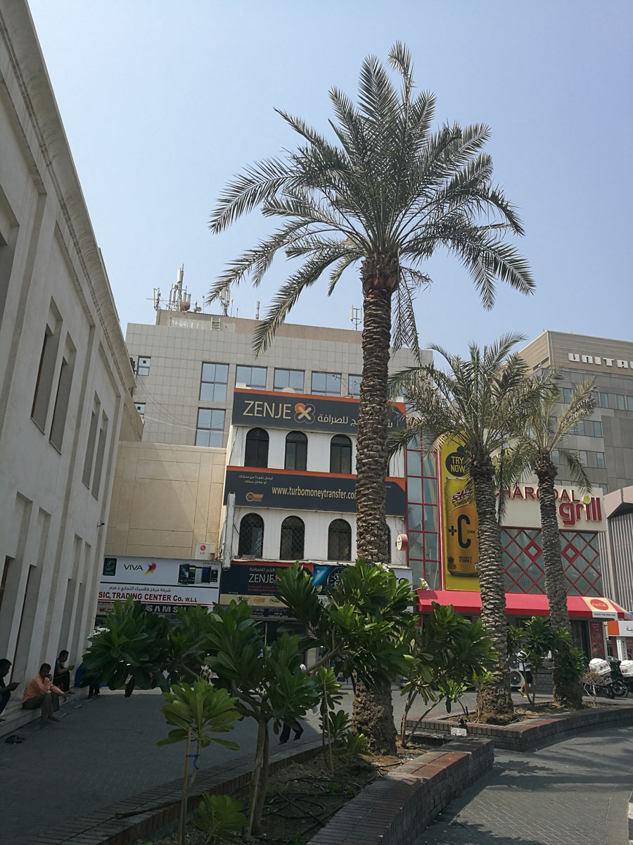 Bahrein_(18).jpg
