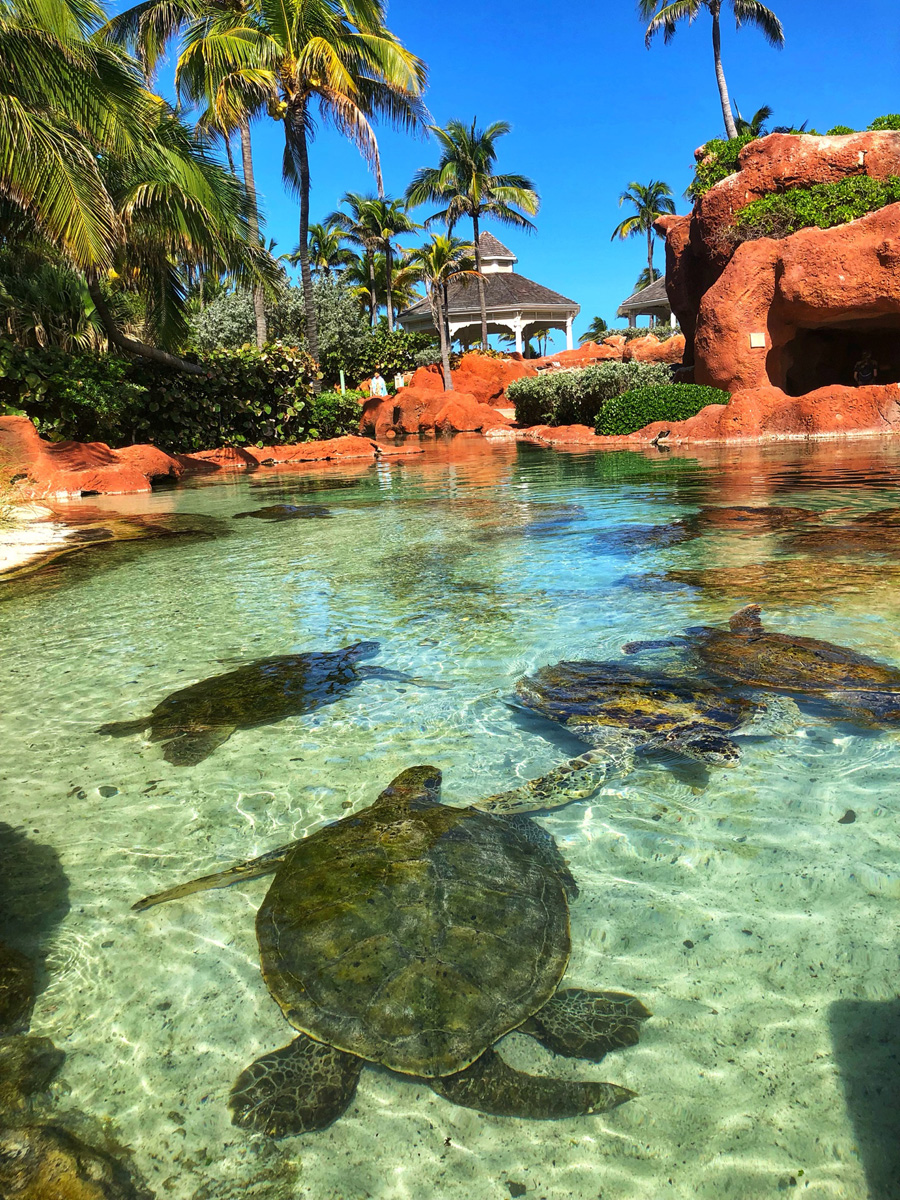 Bahamas_(21).jpg