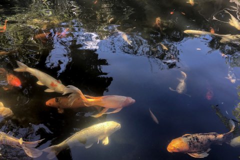 IMG_7944-12-01-19-21-42.jpg