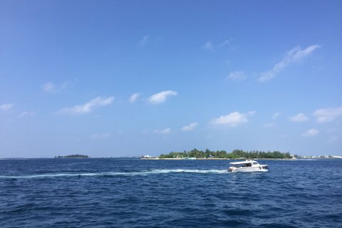 Maldives_(12).jpg
