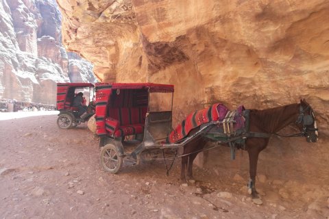 Jordan_(22).jpg