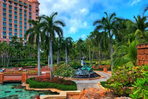 Bahamas_(50).jpg