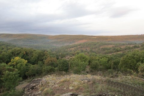Bulgaria_(1).jpg