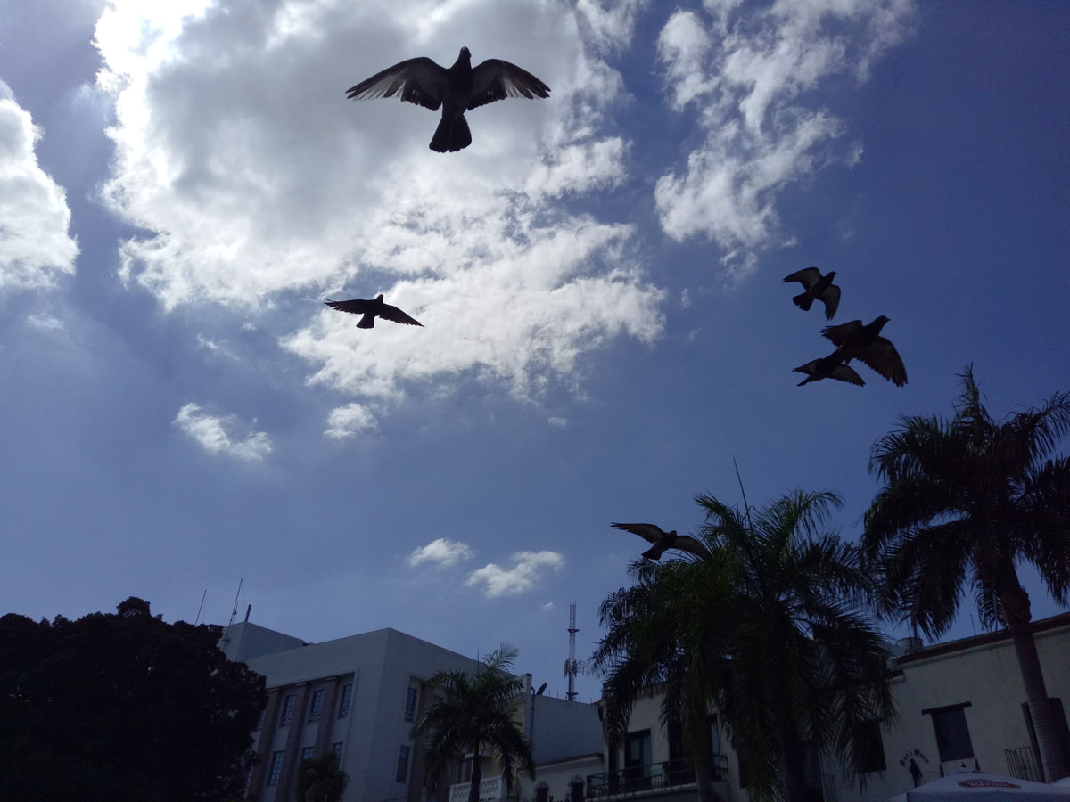 dominican_republic_(3).jpg