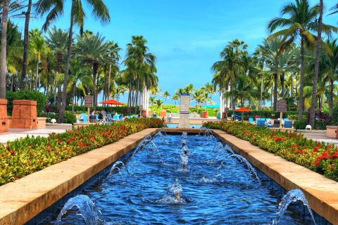 Bahamas_(55).jpg