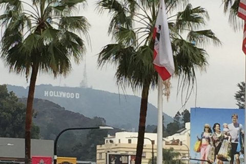 IMG_0102.JPG