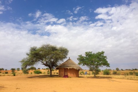 Mavritaniya