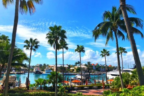 Bahamalar